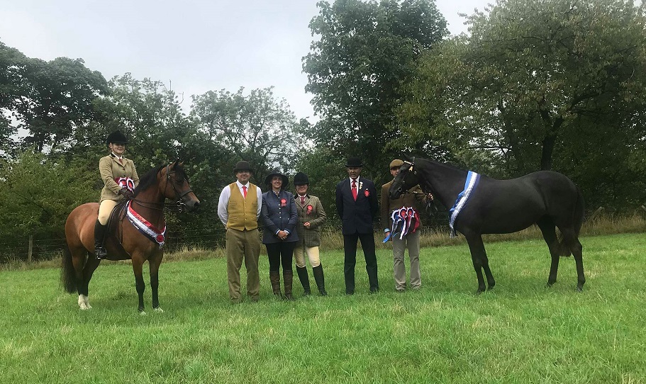 Light_Horse_Champion_&_Reserve_2018 Light_Horse_Champion_&_Reserve_2018