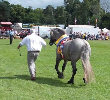 Champion of Champions 2009