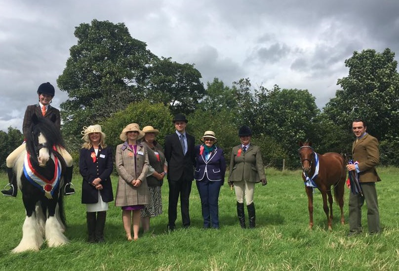 Light Horse Champion & Reserve Light Horse Champion & Reserve