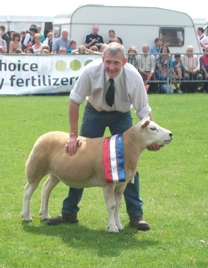 Sheep Champion 2011