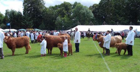 Livestock Parade 2009